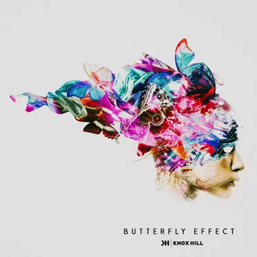Butterfly Effect