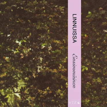 Ensimmäinen by Annimaria Rinne - album cover