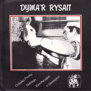 Dyma’r Rysait by Various Artists - album cover