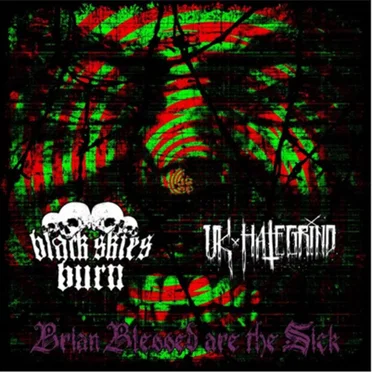 Brian Blessed Are the Sick by Black Skies Burn - album cover