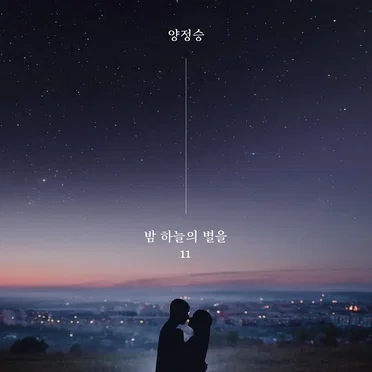 밤하늘의 별을 11