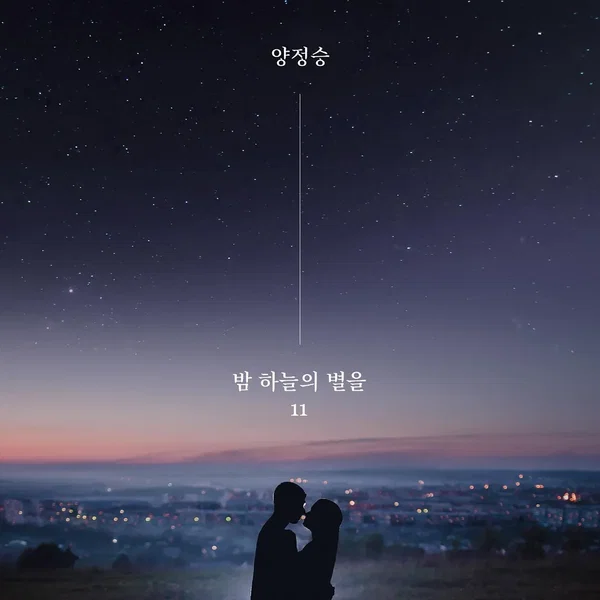 밤하늘의 별을 11