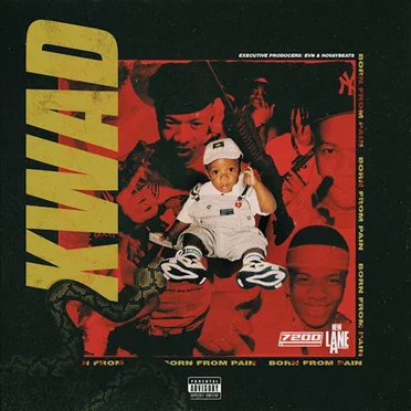 Born From Pain by Kwad - album cover