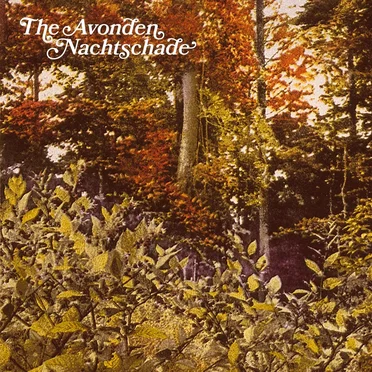 The Avonden