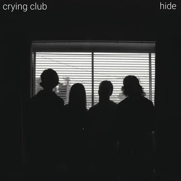 Hide