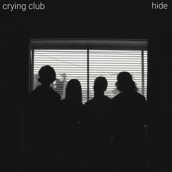 Hide