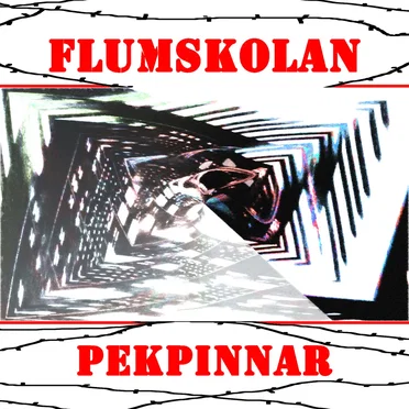 Pekpinnar