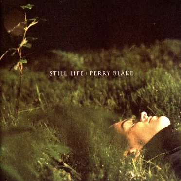 Still Life by Perry Blake - album cover