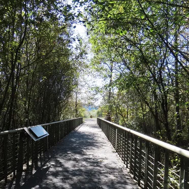 Brightwater Park and North Creek Trail