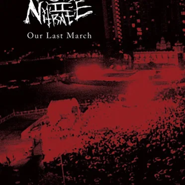 Our last March by Lead (II) Nitrate - album cover
