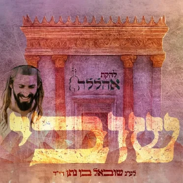 שובי