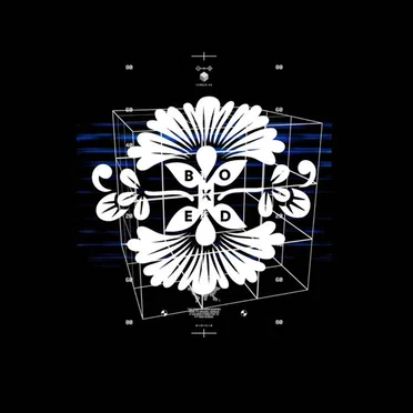 The Last Boxed by Various Artists - album cover