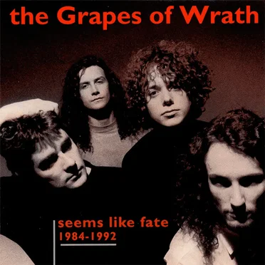 Seems Like Fate: 1984–1992 by The Grapes of Wrath - album cover