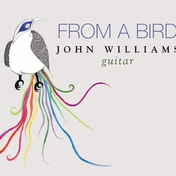 From a Bird