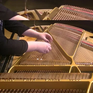 Brylee Daniels Sonata for the 2020 Election