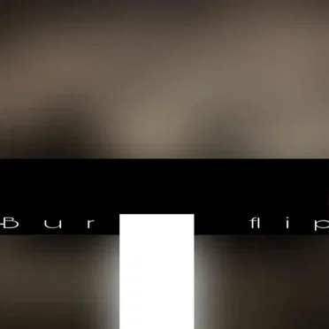 bur flip