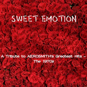 Sweet Emotion: A Tribute to Aerosmith’s Greatest Hits – The 1970s by Various Artists - album cover