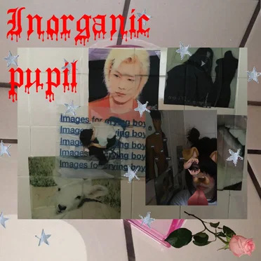 Inorganic pupil