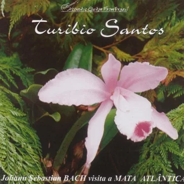 Johann Sebastian Bach visita a Mata Atlântica