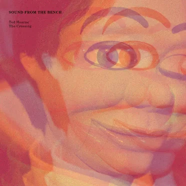 Sound From the Bench