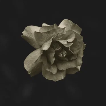 GLDMTH by GLDMTH - album cover