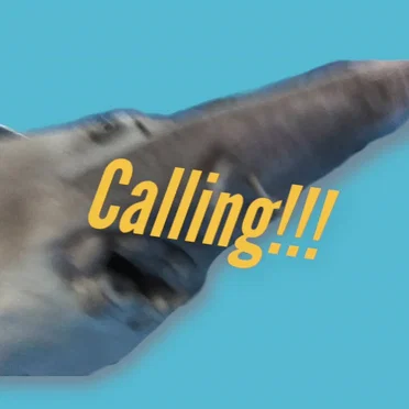 Calling!!!