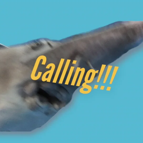 Calling!!!