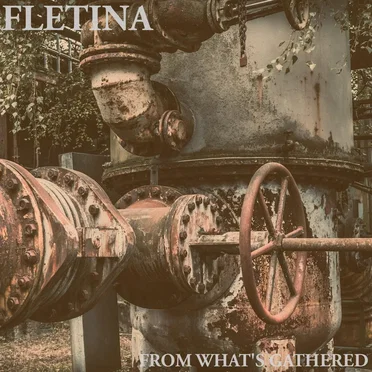 From What’s Gathered