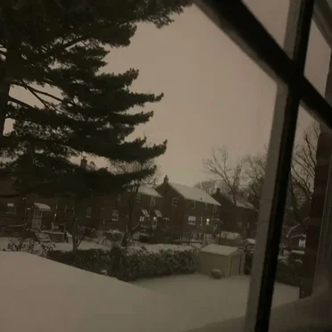 sounds of the snowstorm.