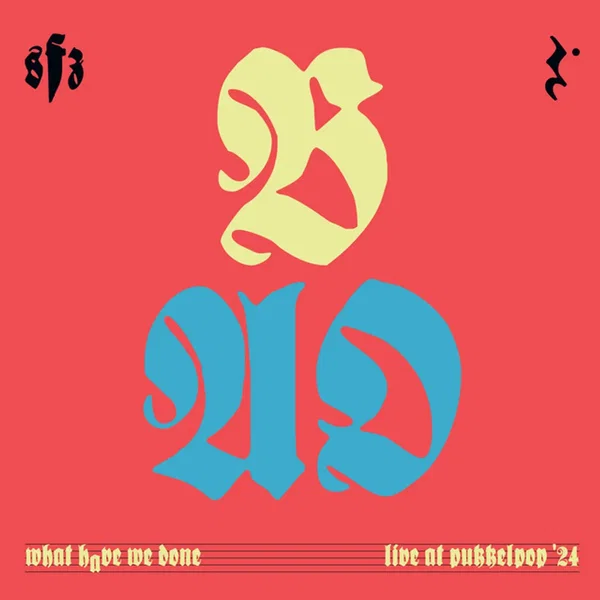 What Have We Done (Live at Pukkelpop)