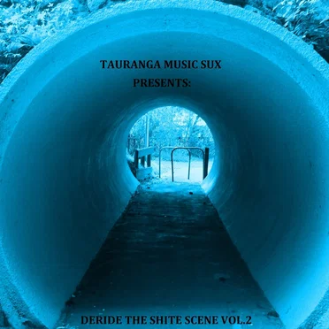 Deride the Shite Scene, Volume 2 by Various Artists - album cover