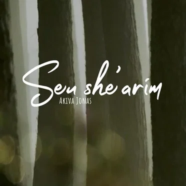 Seu She’arim