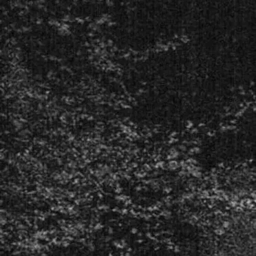 Vestibulum Vacuüi / Mental Decay