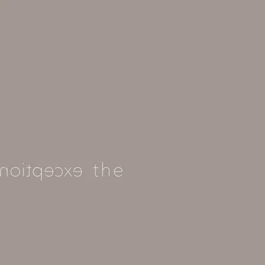 The Exception