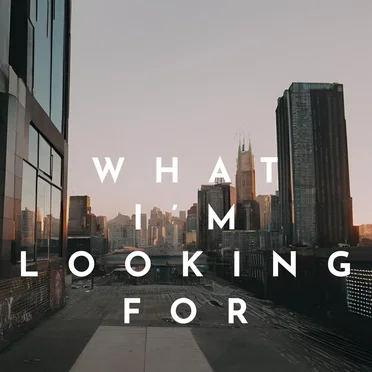 What I'm Looking For
