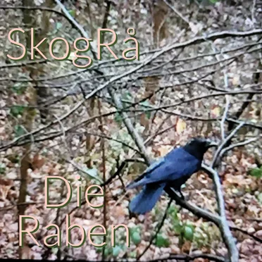 Die Raben by SkogRå - album cover
