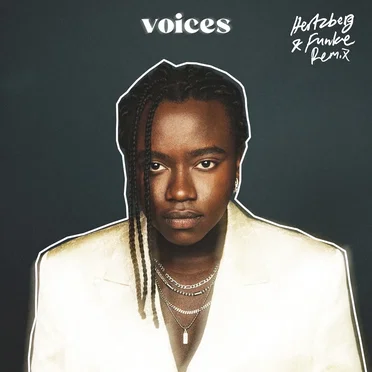 Voices (Hertzberg & Funke remix)