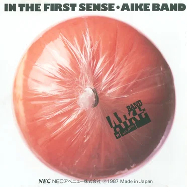 IN THE FIRST SENSE by スクール・バンド - album cover