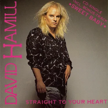 Straight to Your Heart by David Hamill - album cover