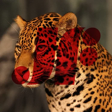 Jaguar Force