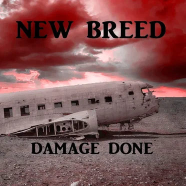 Damage Done by New Breed - album cover