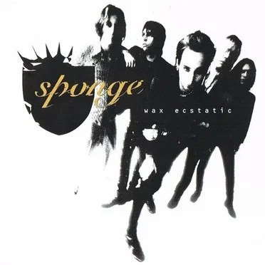 Wax Ecstatic