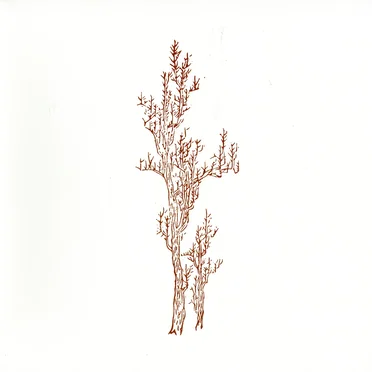 The Landscape of Memory