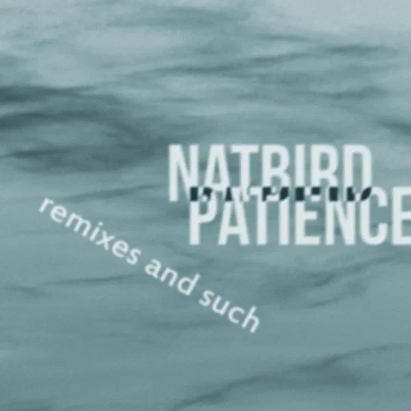 Patience: Remixes and Such