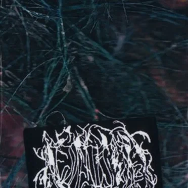 Allegory of Allergies