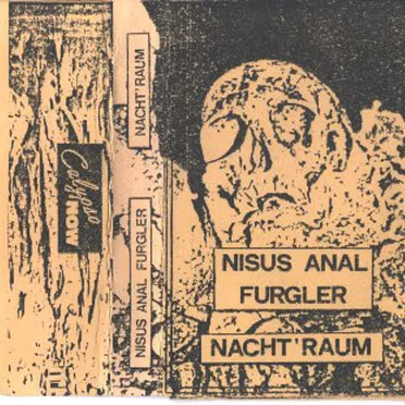 Nisus Anal Furgler Nacht'raum