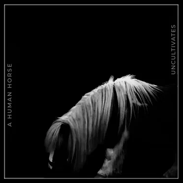 A Human Horse