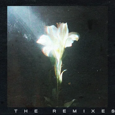 Light That Leads Me (The Remixes)