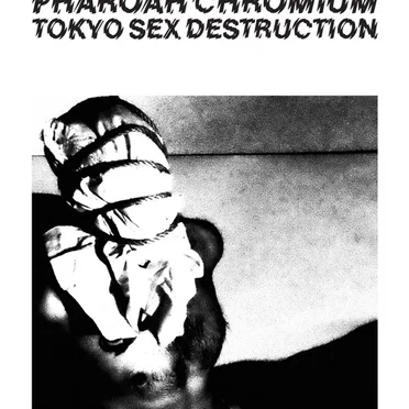 Tokyo Sex Destruction