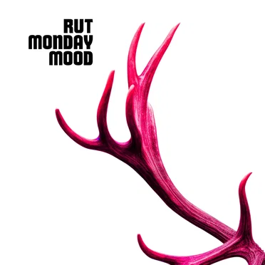 RUT MONDAY MOOD by RUT! - album cover